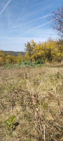 Teren de 1671 mp, în Vulturești