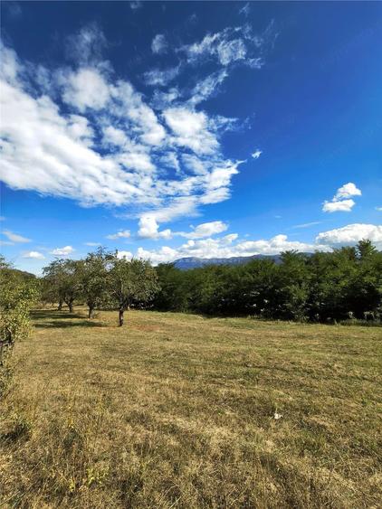 Teren de 2500 mp, în Colonia Tălmaciu