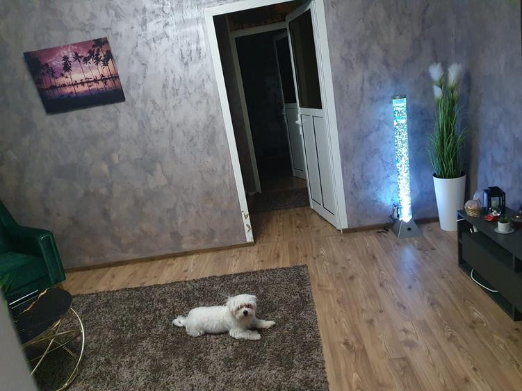 Apartament cu 2 camere decomandat în Podul de Piatră