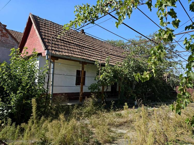 Casă cu 4 camere în Gepiu