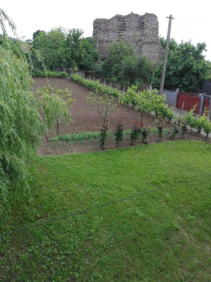 Casă cu 4 camere în Șiria