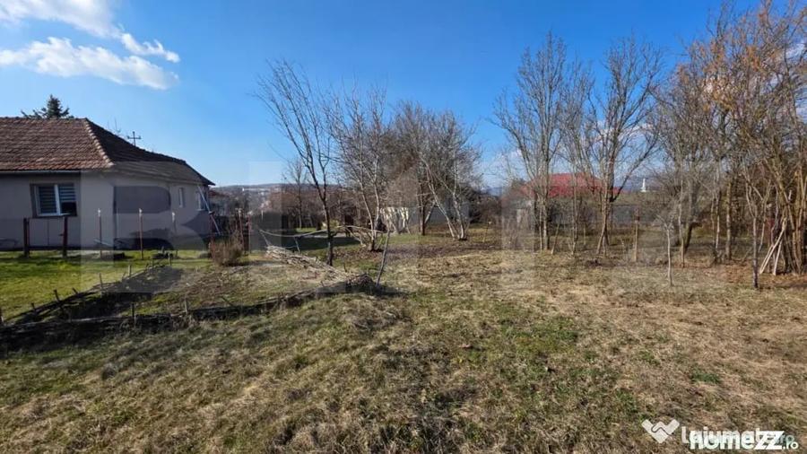 Casă cu 3 camere cu Teren 3000 Mp în Central