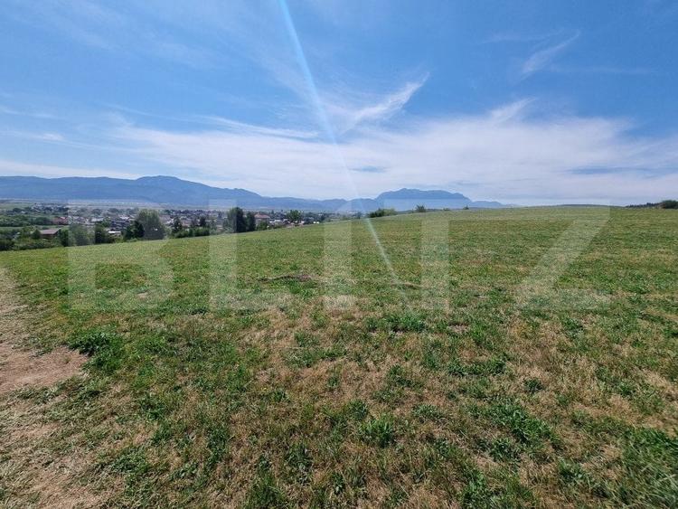 Teren Construcții extravilan de 2800 mp, în Vulcan