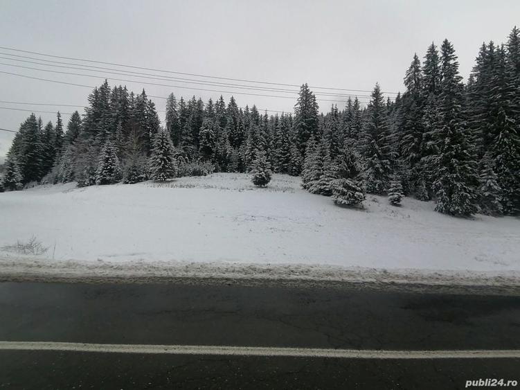 Teren de 10238 mp, în Central