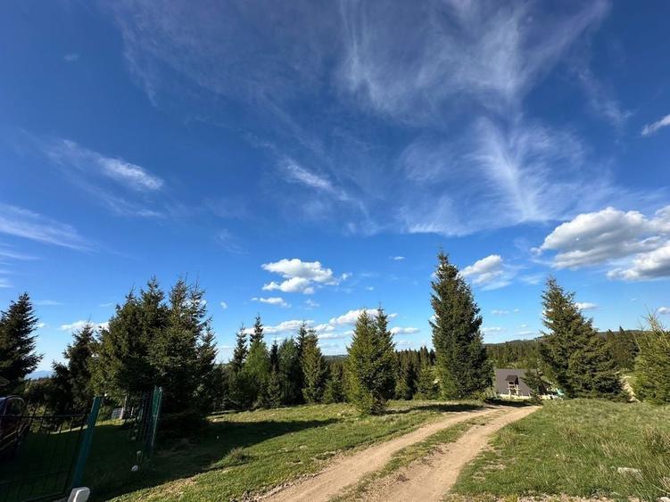 Teren de 2300 mp, în Beliș