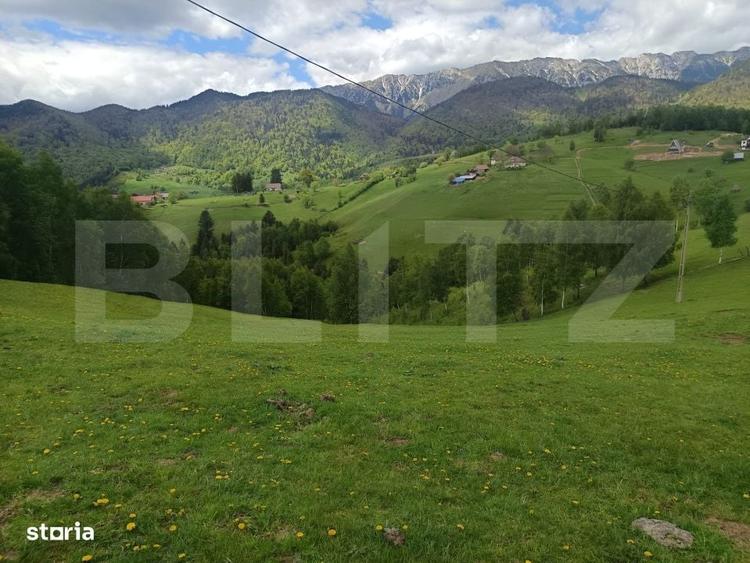 Teren cu fundatie de cabana, intabulat, 1.093 mp Satul Pestera, co - 14