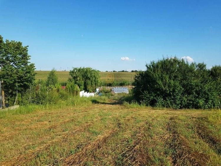 Teren Construcții intravilan de 3399 mp, în Sud
