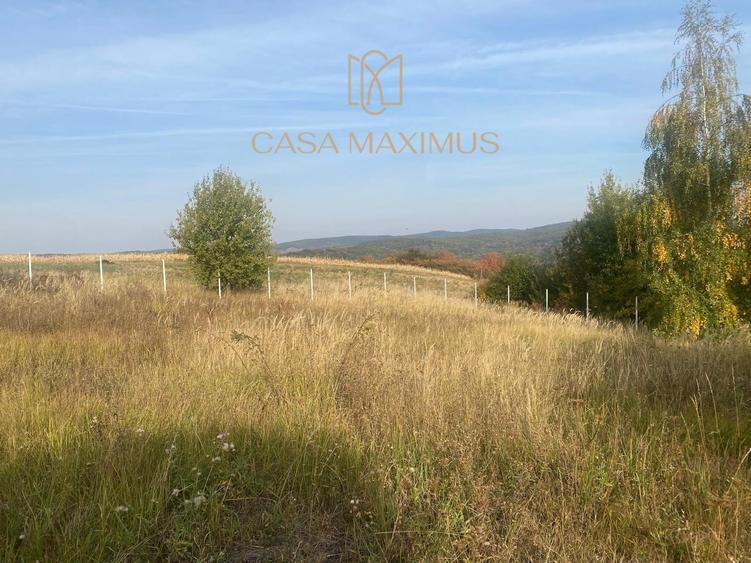 Teren Construcții extravilan de 930 mp, în Șura Mare