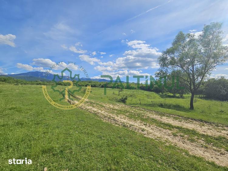 Teren de 2600 mp, în Chirpăr