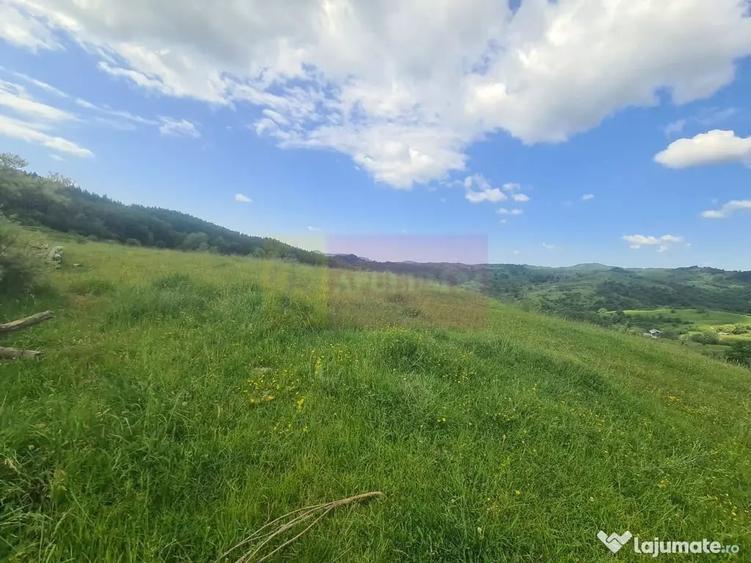 Teren de 9037 mp, în Plaiul Tălii