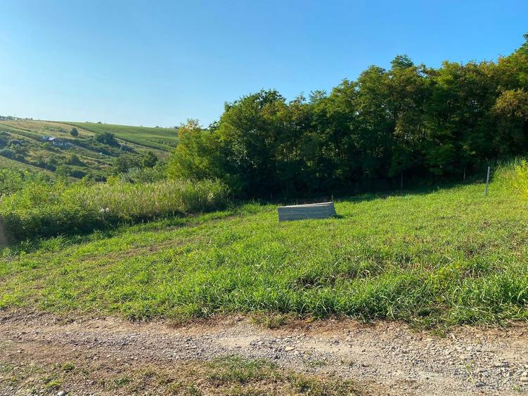 Teren de 680 mp, în Valea Lupului