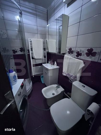 Garsonieră în Lotrului