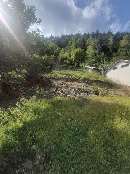 Casă cu 3 camere în Valea Muscelului