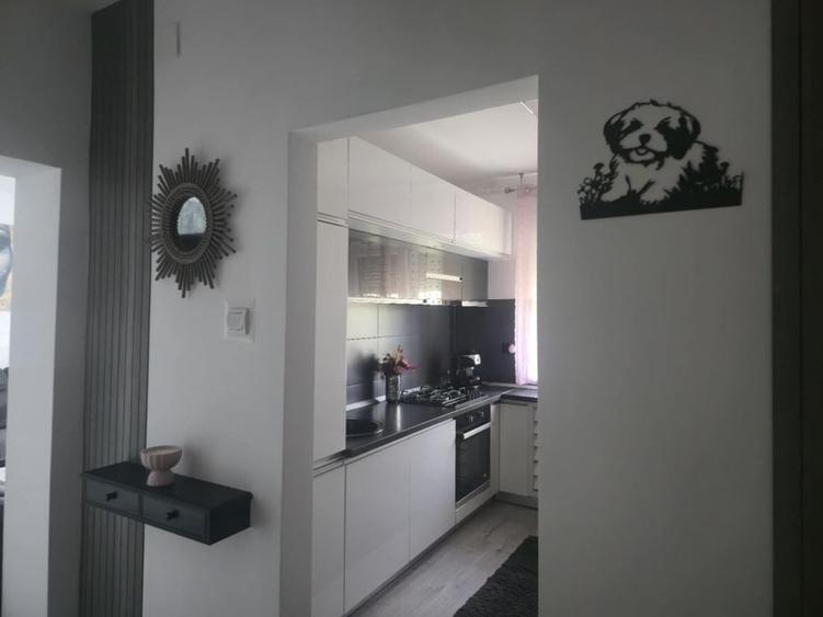 Apartament cu 3 camere semidecomandat în Dacia