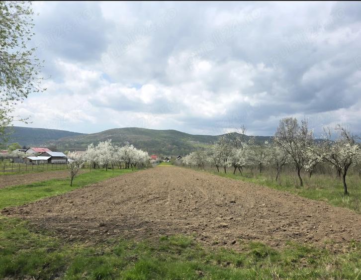 Teren de 2000 mp, în Rădești