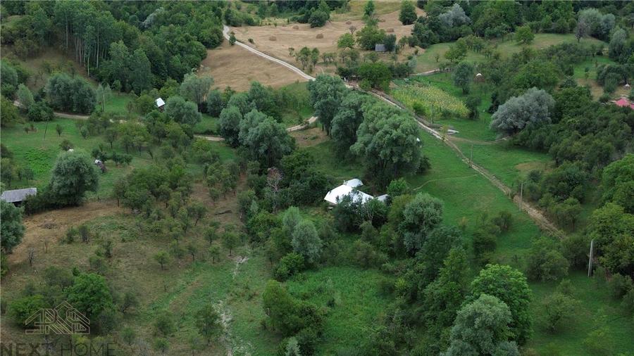 Casă cu 3 camere cu Teren 5913 Mp în Paltin