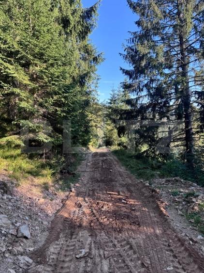 Teren Construcții intravilan de 9700 mp, în Vălișoara