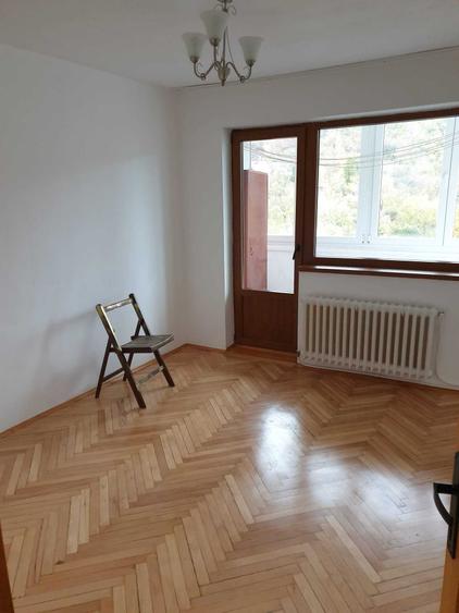 3 camere zona Profi Grigorescu - 7