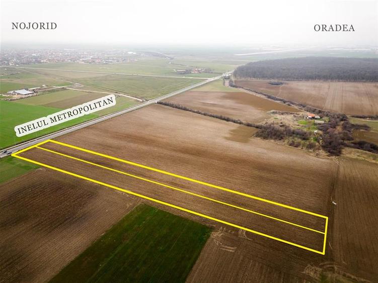 Teren intravilan de 11200 mp, în Nojorid