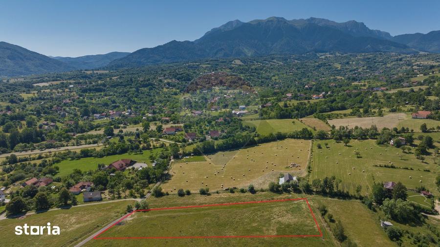 Teren de 6900 mp, în Bran