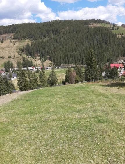 Teren de 12500 mp, în Galbena