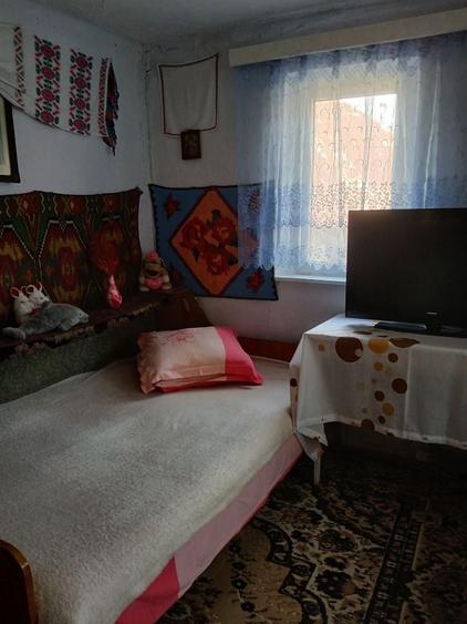 Casă cu 4 camere în Radu Negru