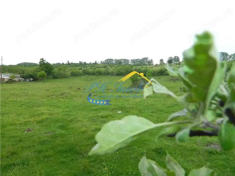 Teren de 4000 mp, în Voila