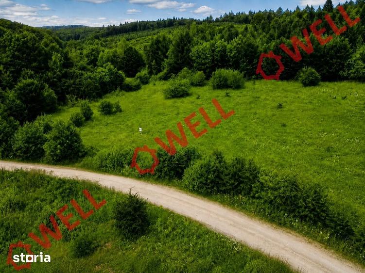 Teren de 1500 mp, în Dumbrăvița