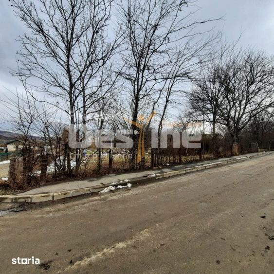 Teren de 10435 mp, în Stănilești