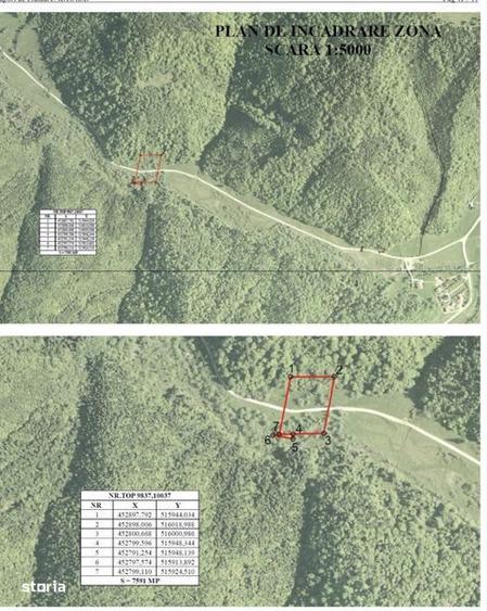 Teren de 7591 mp, în Poiana Mărului