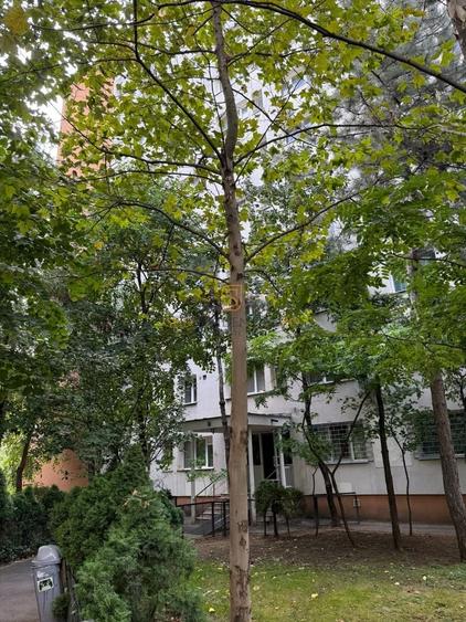 Apartament cu 3 camere semidecomandat, mobilat în Brâncoveanu