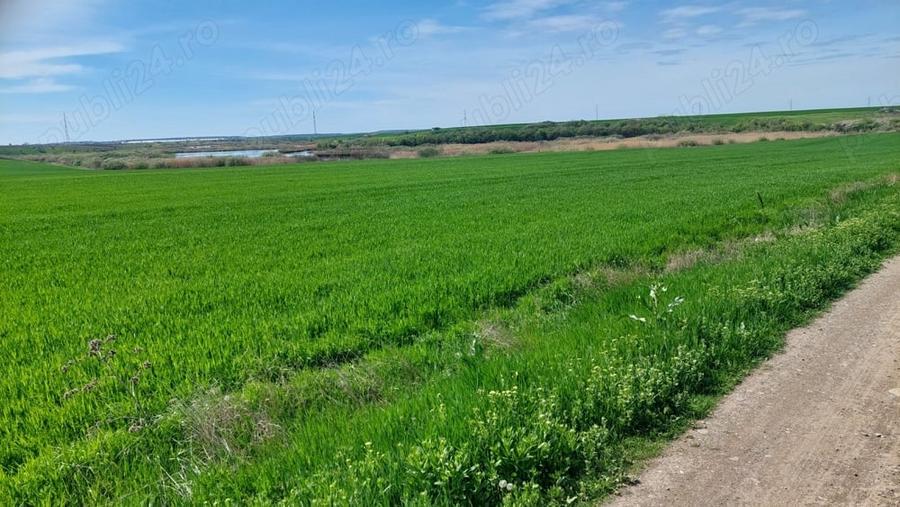 Teren de 20000 mp, în Vadu Anei
