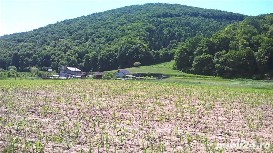 Teren de 200 mp, în Sărățel