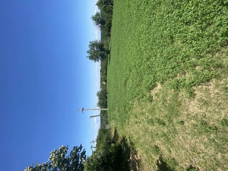 Teren de 16600 mp, în Cocu