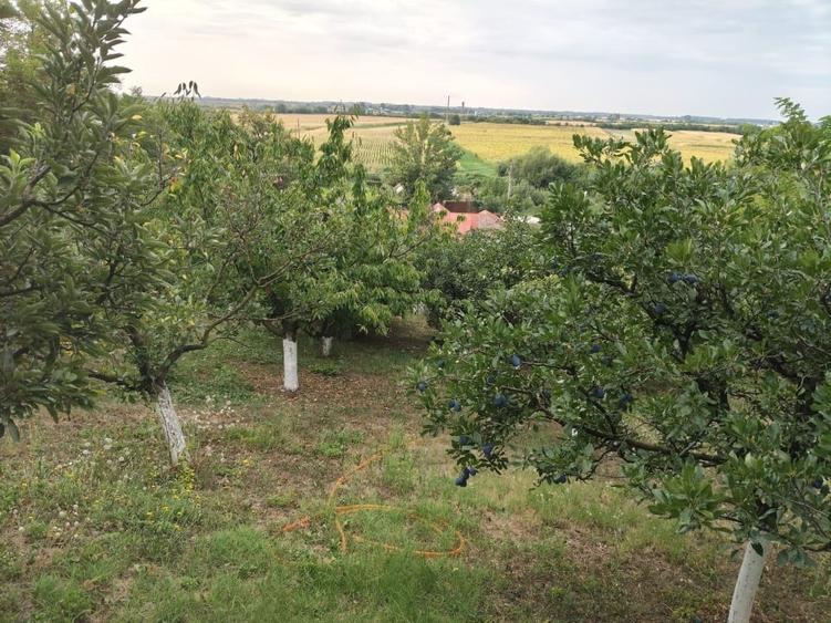 Casă individuală cu 3 camere cu Canalizare în Dragodana