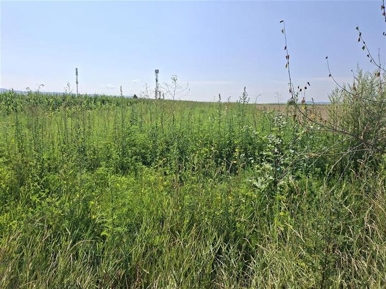 Teren intravilan de 1600 mp, în 9 Mai