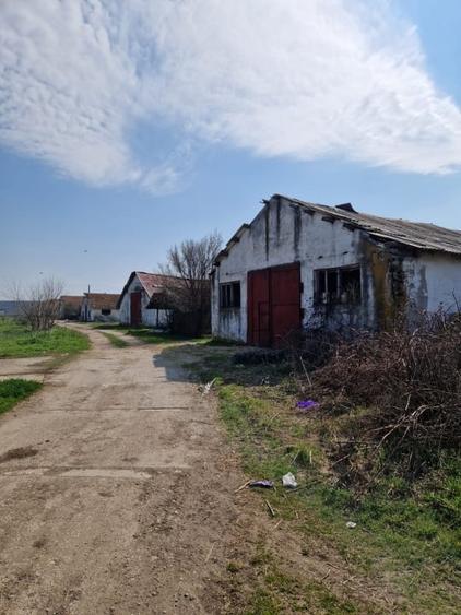 Teren agricol extravilan de 79106 mp, în Exterior Est