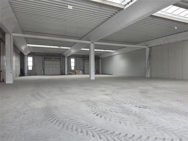 Vanzare depozit/spatiu industrial/hala Chitila - Rudeni, ILFOV - 18