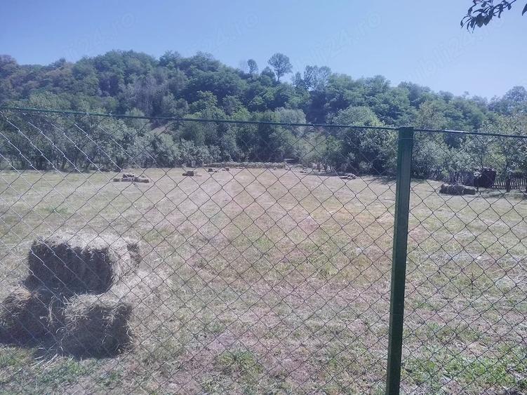 Teren de 6800 mp, în Polovragi
