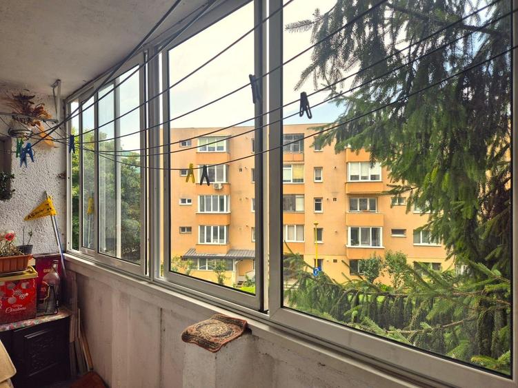 Exclusivitate- camera cu baie intr-un apartament - 5