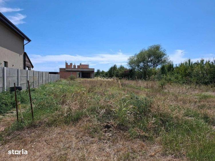 Vand teren Bazosu Nou, str. Cedrilor, nr. 17, Bucovat, Timis -> 592m2