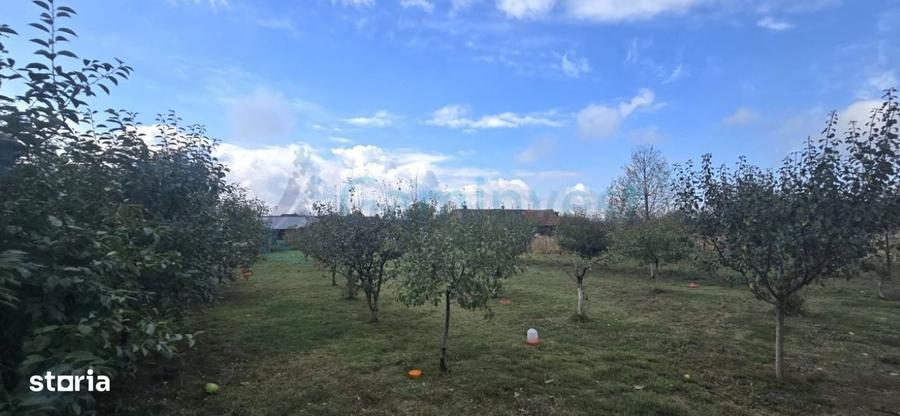Casă cu 4 camere cu Teren 1755 Mp în Cacuciu Vechi