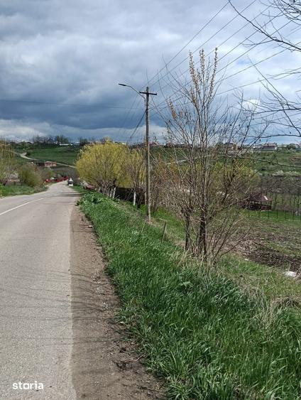 Teren la strada la intrare in Rosiori - 1