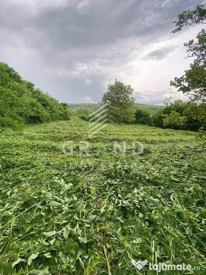 Teren în Rădaia