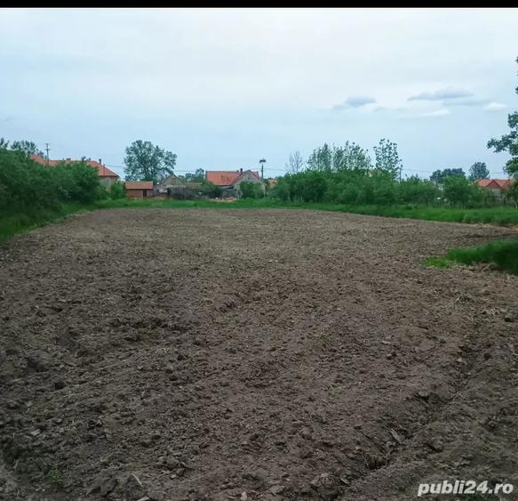 Casă cu 3 camere cu Teren 3000 Mp în Căpăt