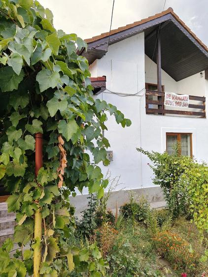 Casă cu 4 camere cu Teren 3000 Mp în Jiana