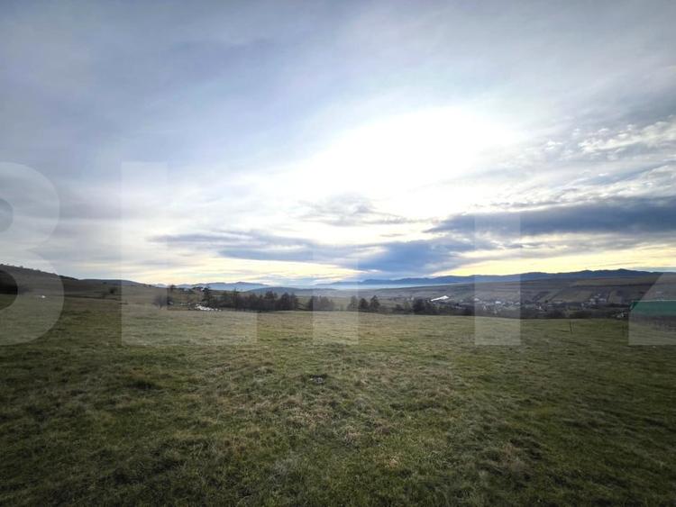 Teren Construcții intravilan de 8000 mp, în Ciurila