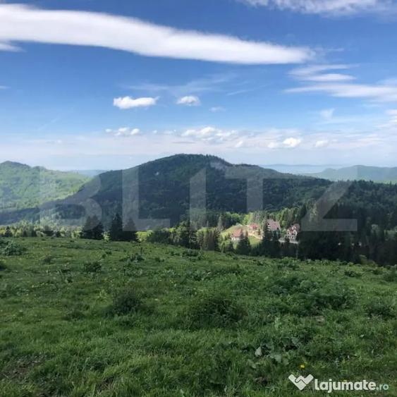 Teren de 5500 mp, în Central