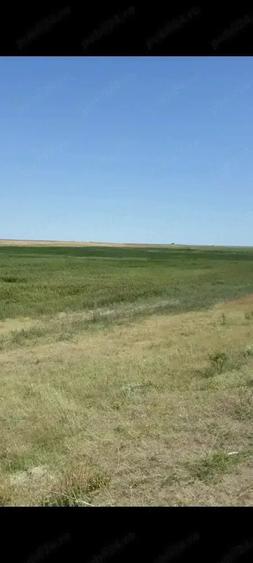 Teren de 40000 mp, în Plopu