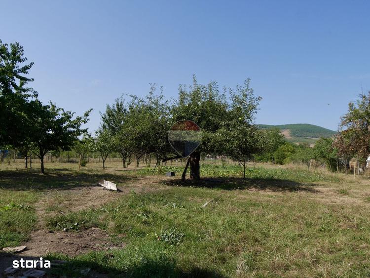 Casă cu 4 camere cu Teren 2481 Mp în Cricău